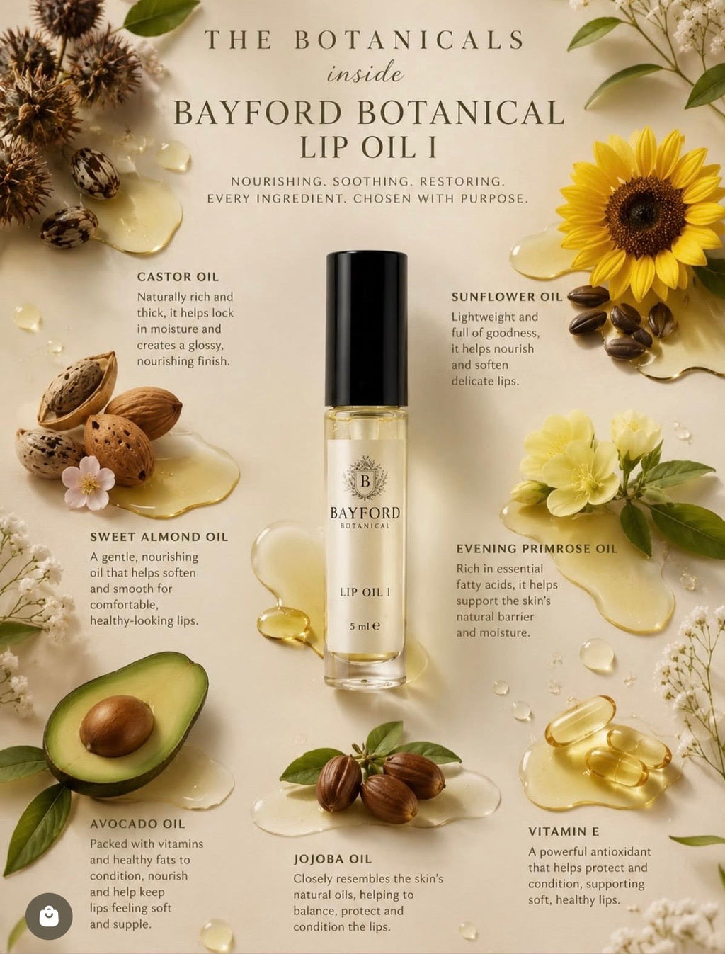A botanical-themed product listing graphic for Bayford Botanical LIP OIL I. The central subject is a clear glass bottle of Bayford Lip Oil with a black cap, surrounded by illustrated and photographed ingredients including sunflowers, castor oil, sweet almond oil, avocado, jojoba, and evening primrose, with text labels on a warm beige background.